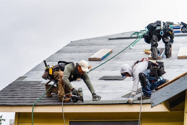 Professional Roofing technician working in Bay Center, WA